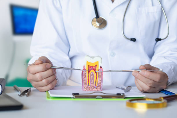 Best Broken or Cracked Tooth Emergency Dentist in Gold Key Lake, PA